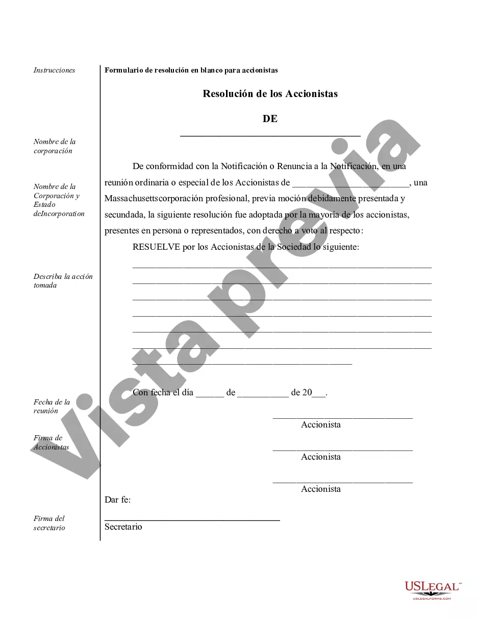 Preview Ejemplos de registros corporativos para una corporación profesional de Massachusetts