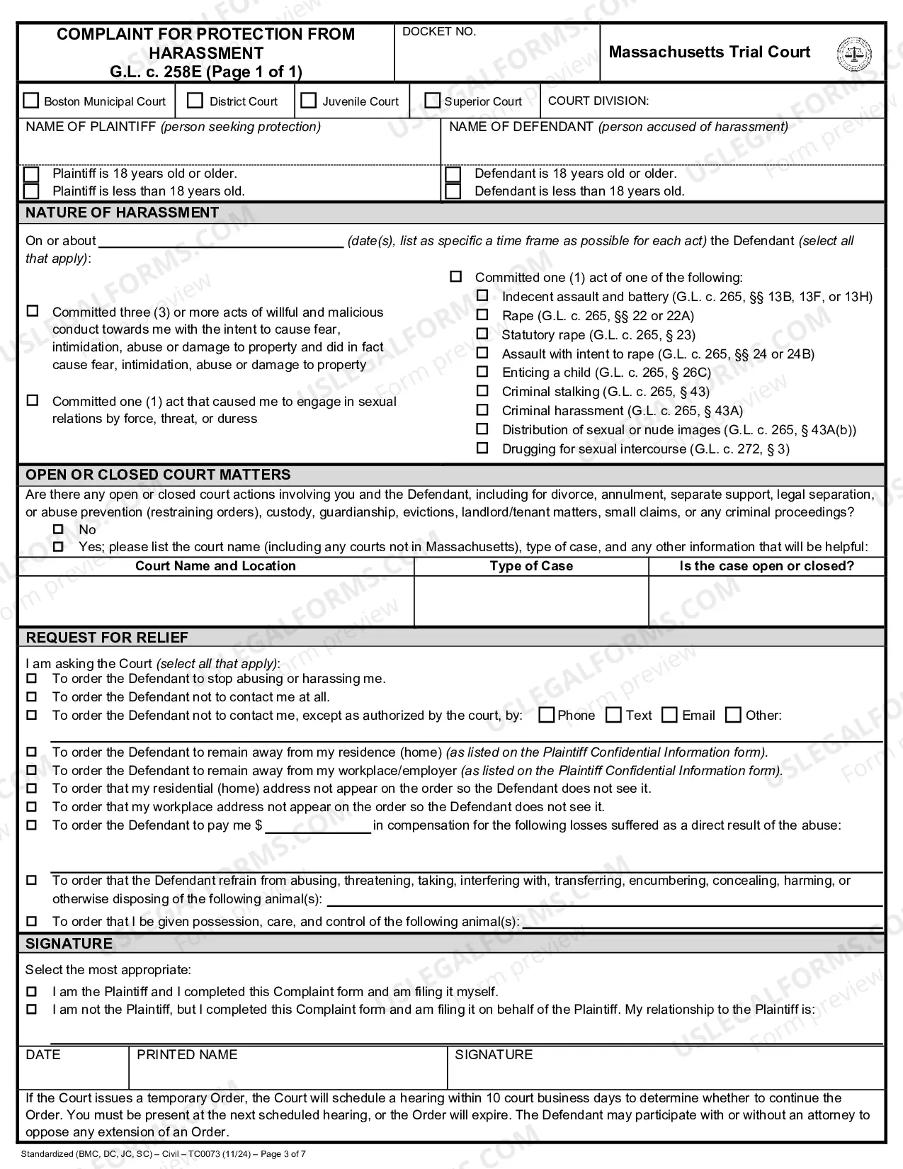 Preview Defendent Information Form