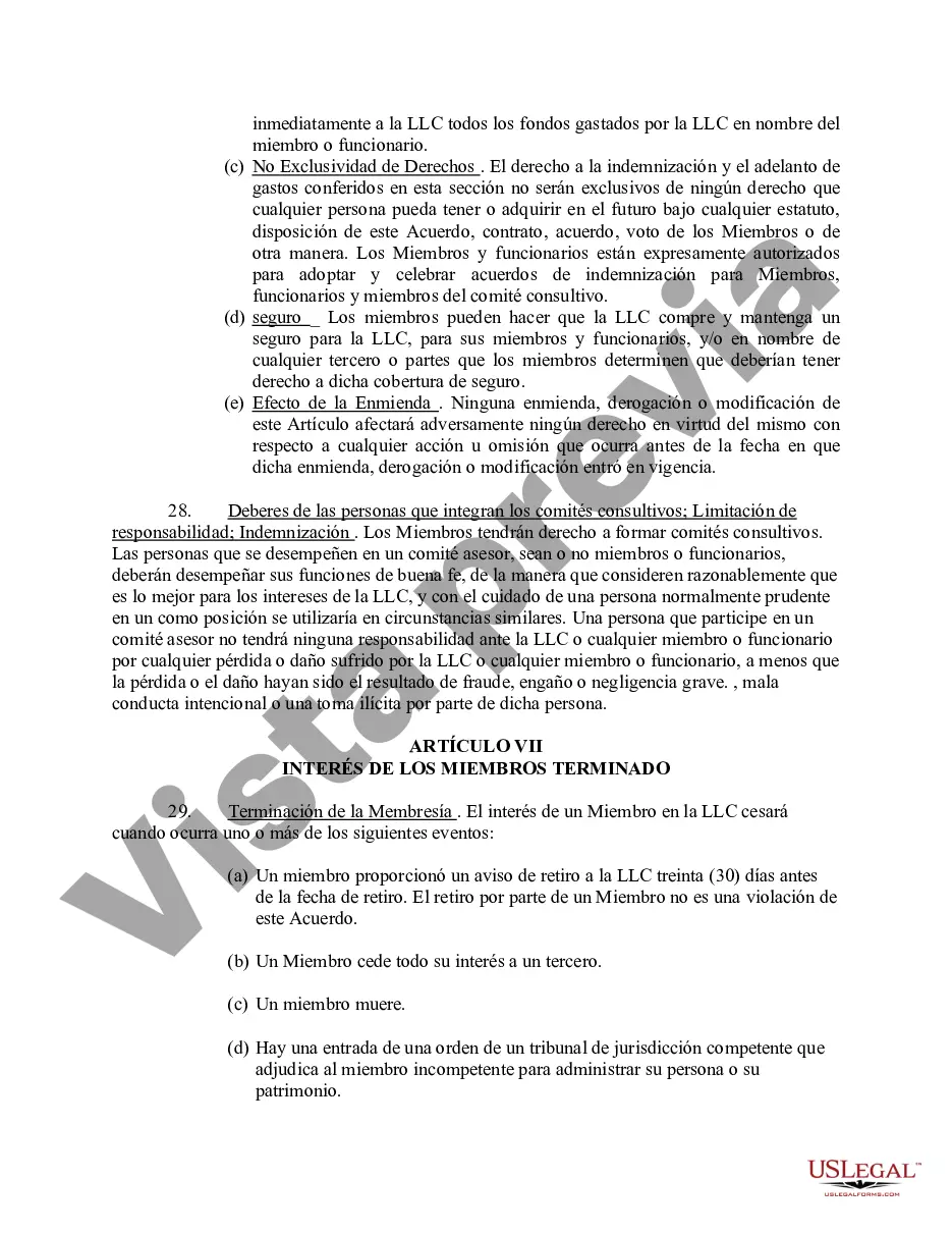 Preview Acuerdo Operativo de Sociedad de Responsabilidad Limitada LLC