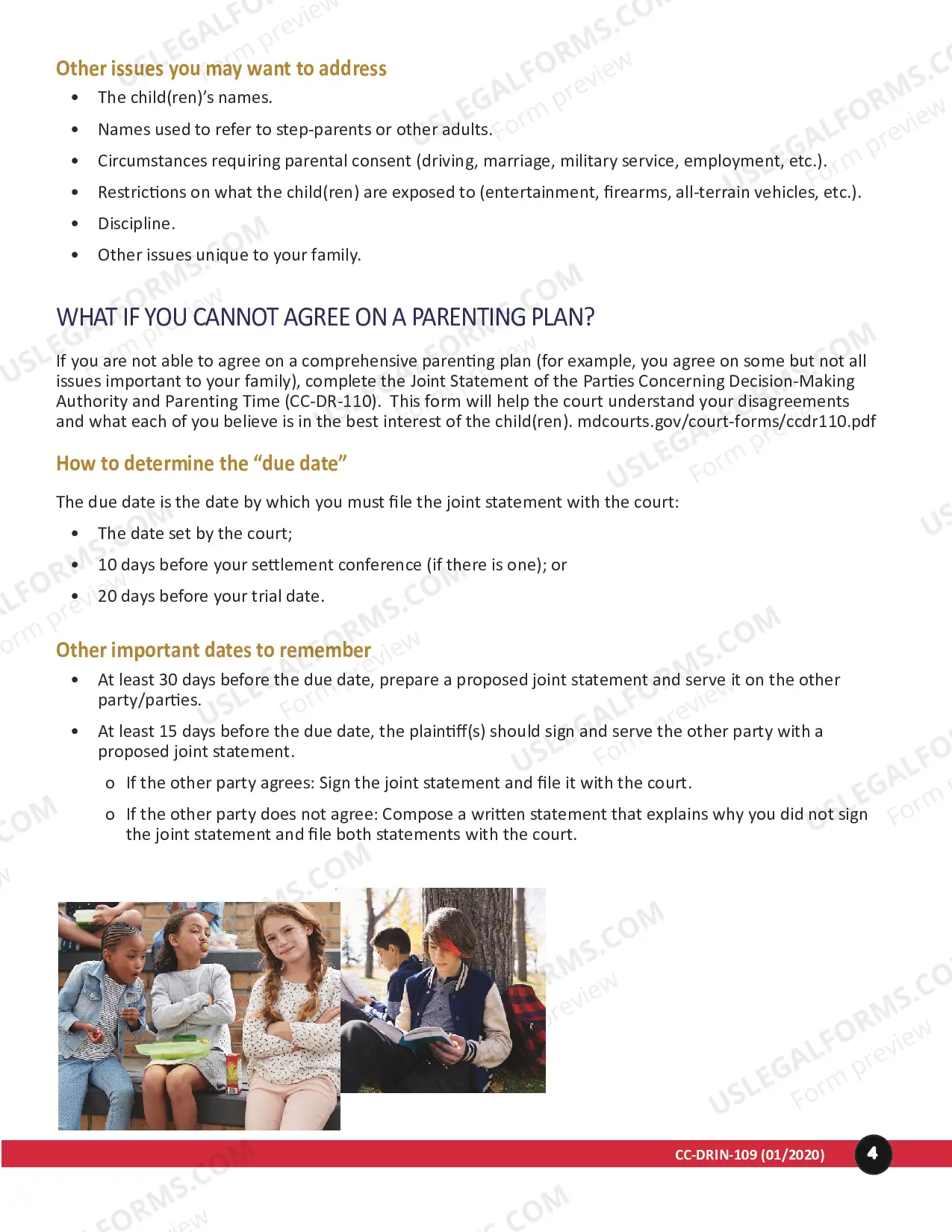 Preview Parenting Plan Instructions