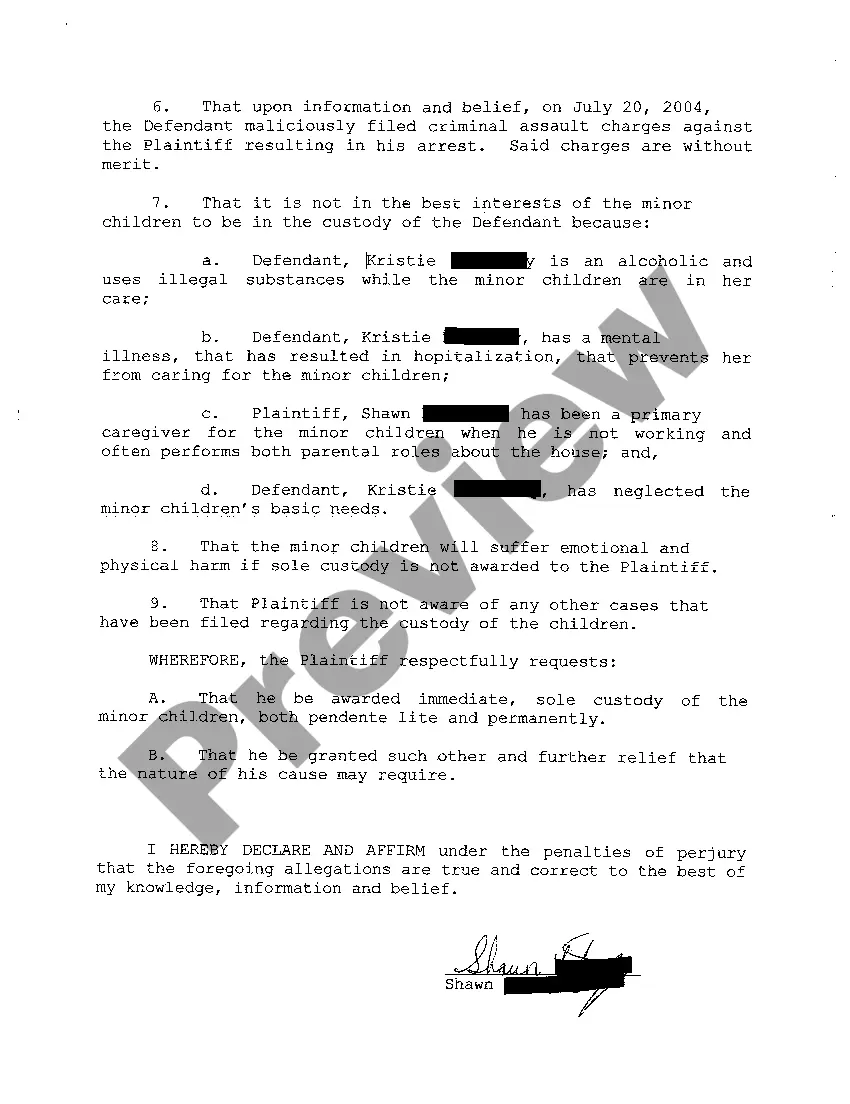 Get A02 Complaint for Child Custody and Other Relief Preview A02 Complaint for Child Custody and Other Relief