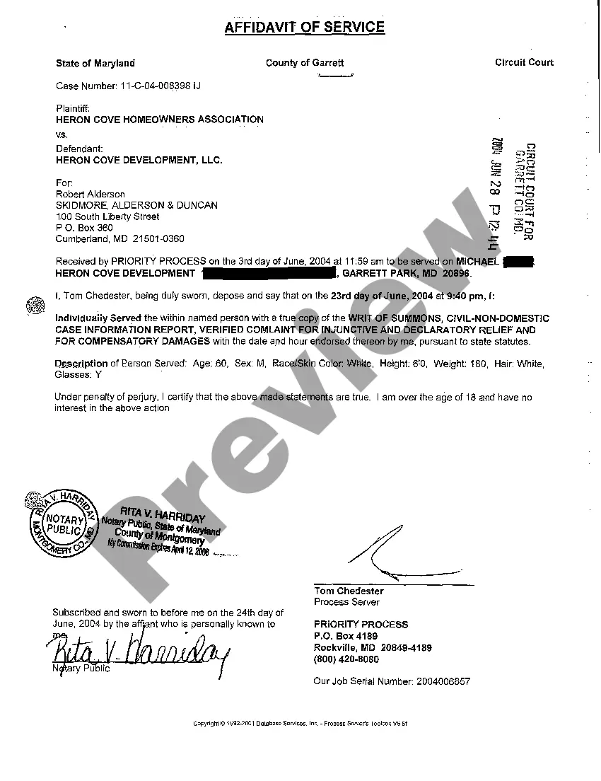 Preview A03 Writ of Summons