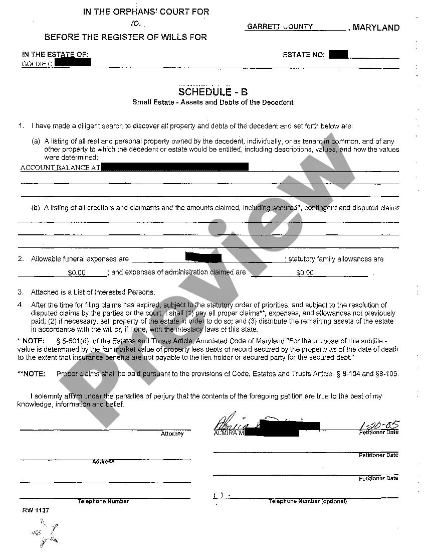 Preview A03 Small Estate Petition for Administration