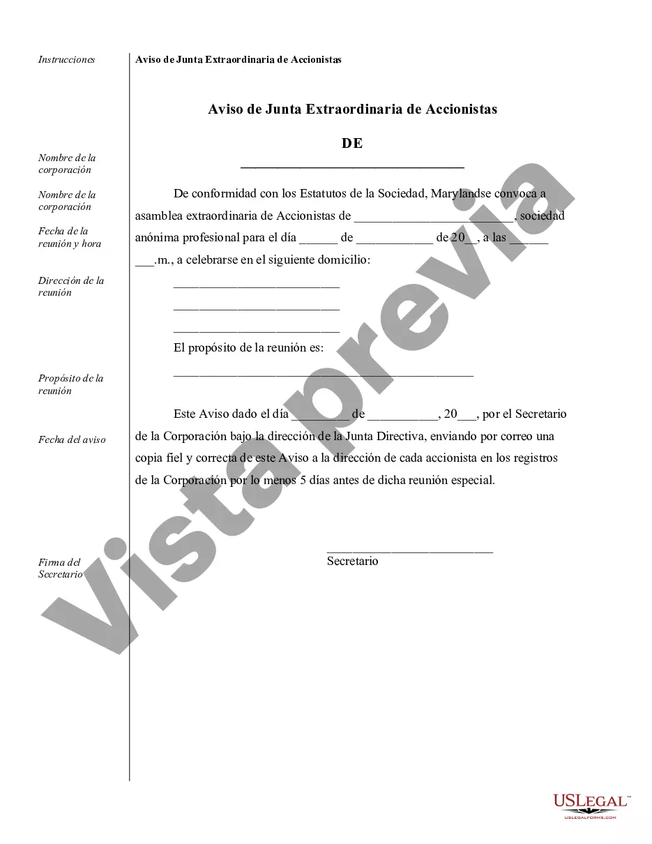 Preview Ejemplos de registros corporativos para una corporación profesional de Maryland