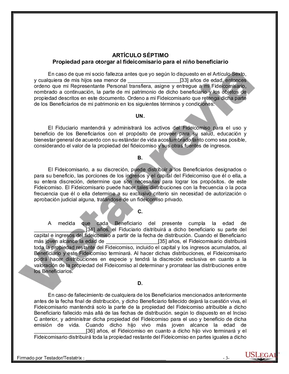 Preview Formulario de última voluntad y testamento legal para una pareja de hecho sin hijos