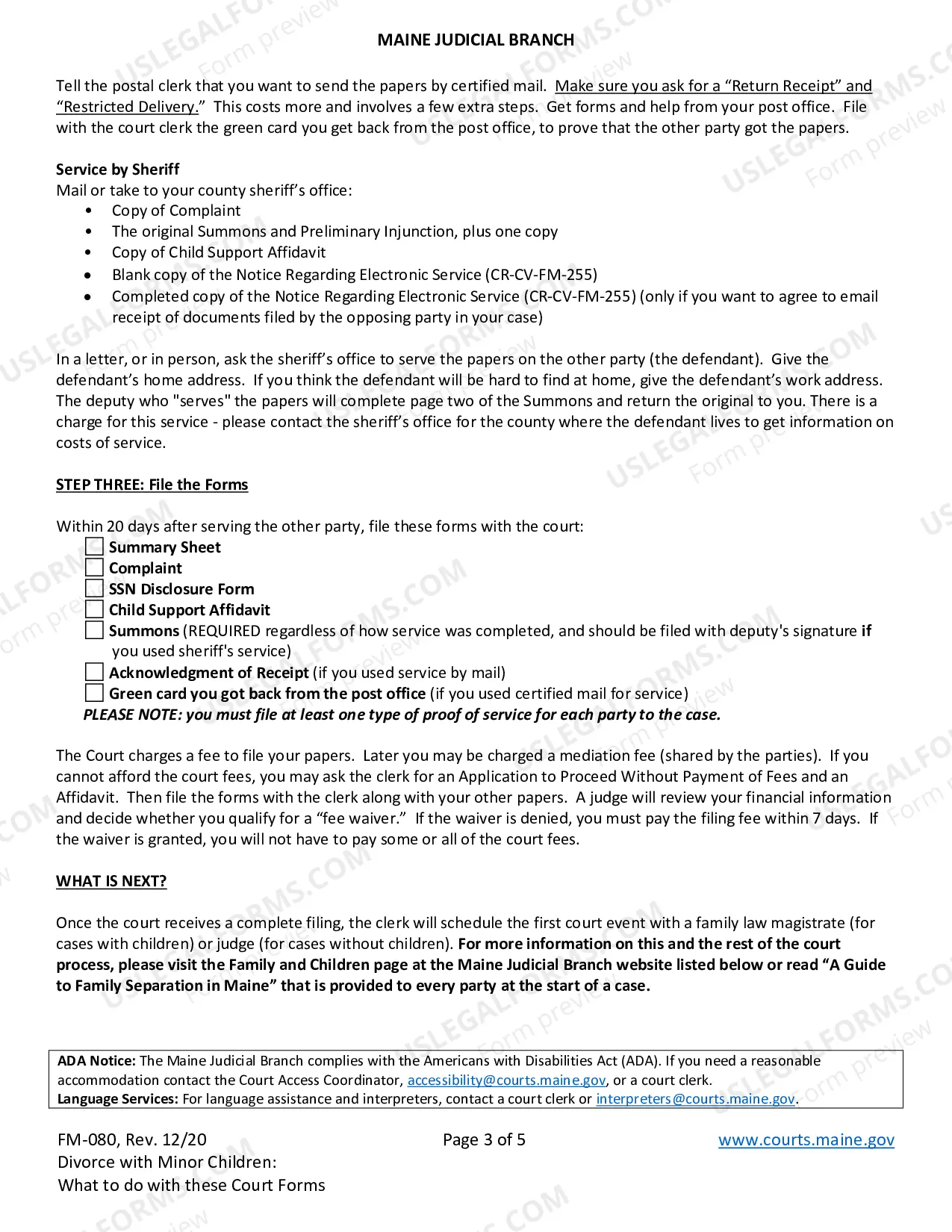 Preview DC Pro Se - Divorce Instructions with children