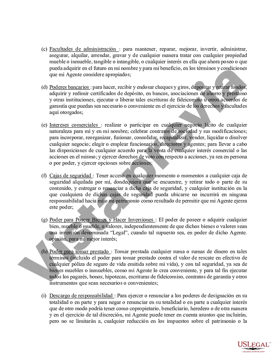 Preview Poder general duradero para la propiedad y las finanzas o efectivo financiero en caso de incapacidad