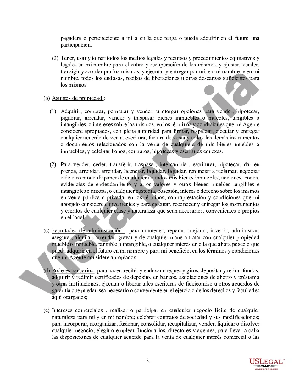 Preview Poder General Duradero para Bienes y Finanzas o Financiero Efectivo Inmediatamente