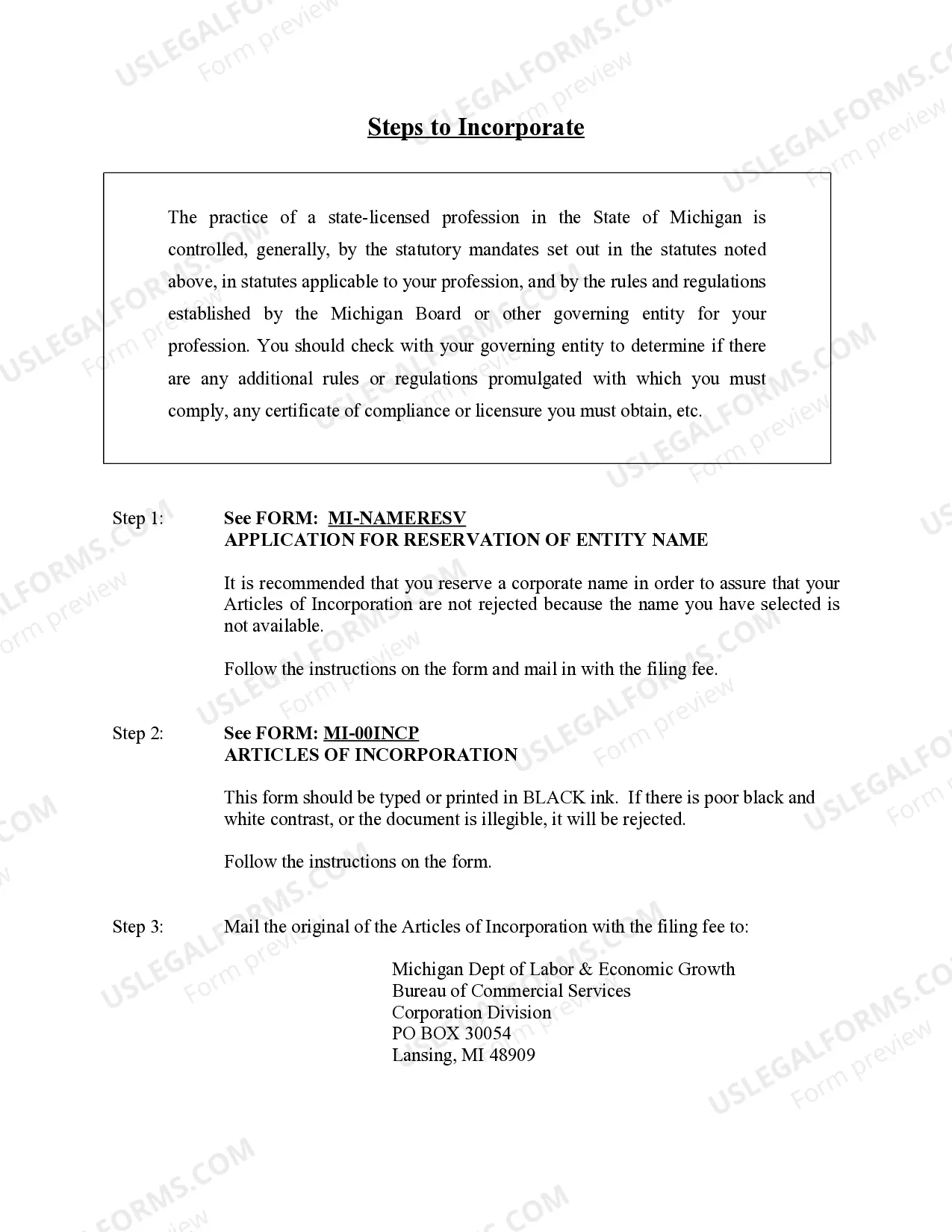 Preview Professional Corporation Package for Michigan