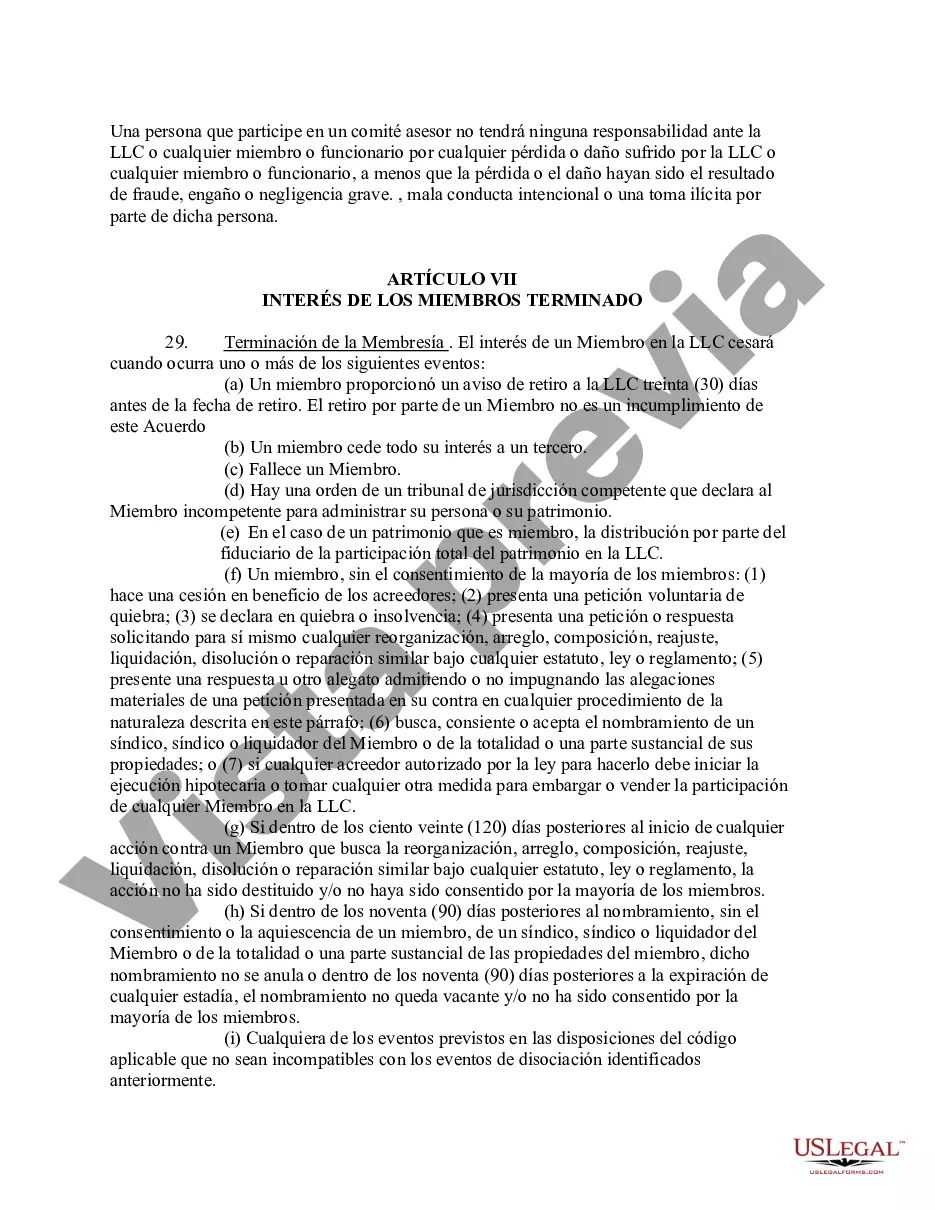Preview Acuerdo Operativo de Sociedad de Responsabilidad Limitada LLC