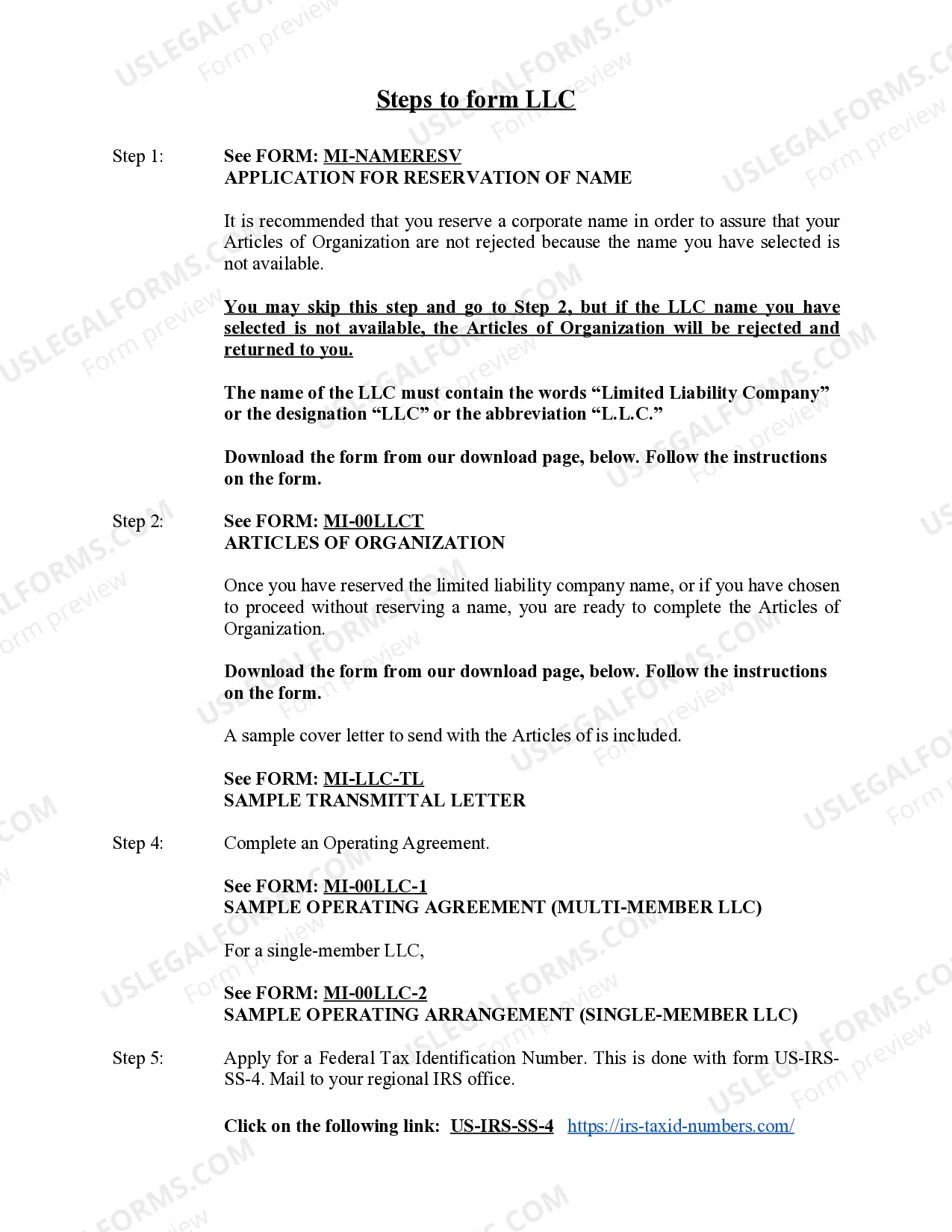 Preview Michigan Limited Liability Company LLC Formation Package