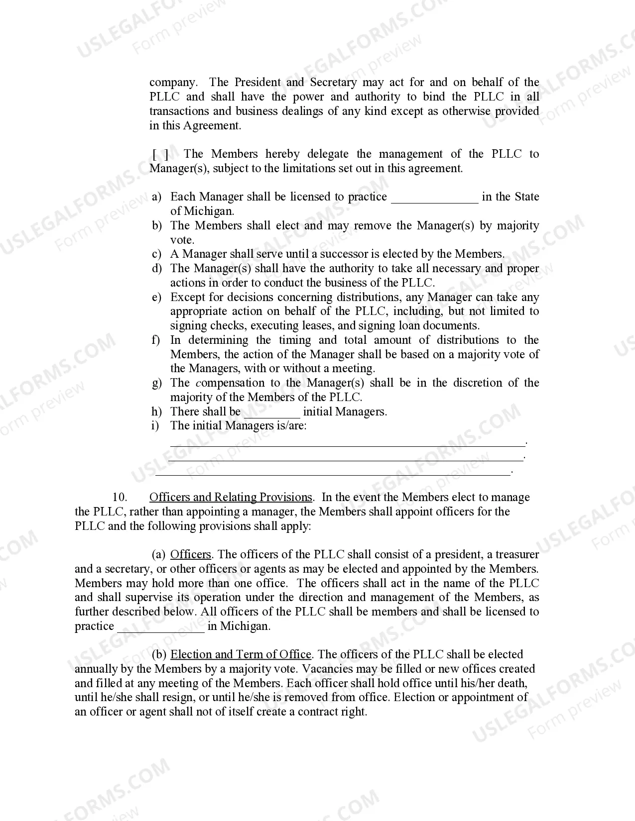 Preview Michigan Professional Limited Liability Company PLLC Formation Package