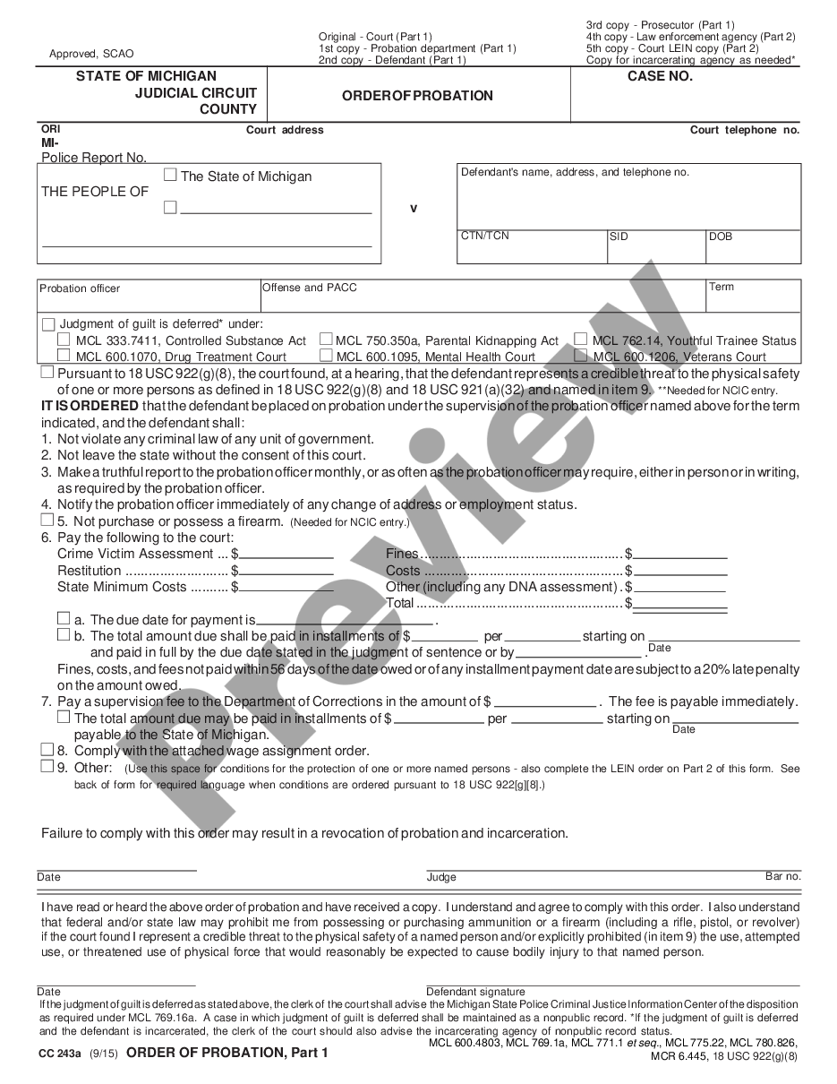 page 0 Order of Probation - Felony preview