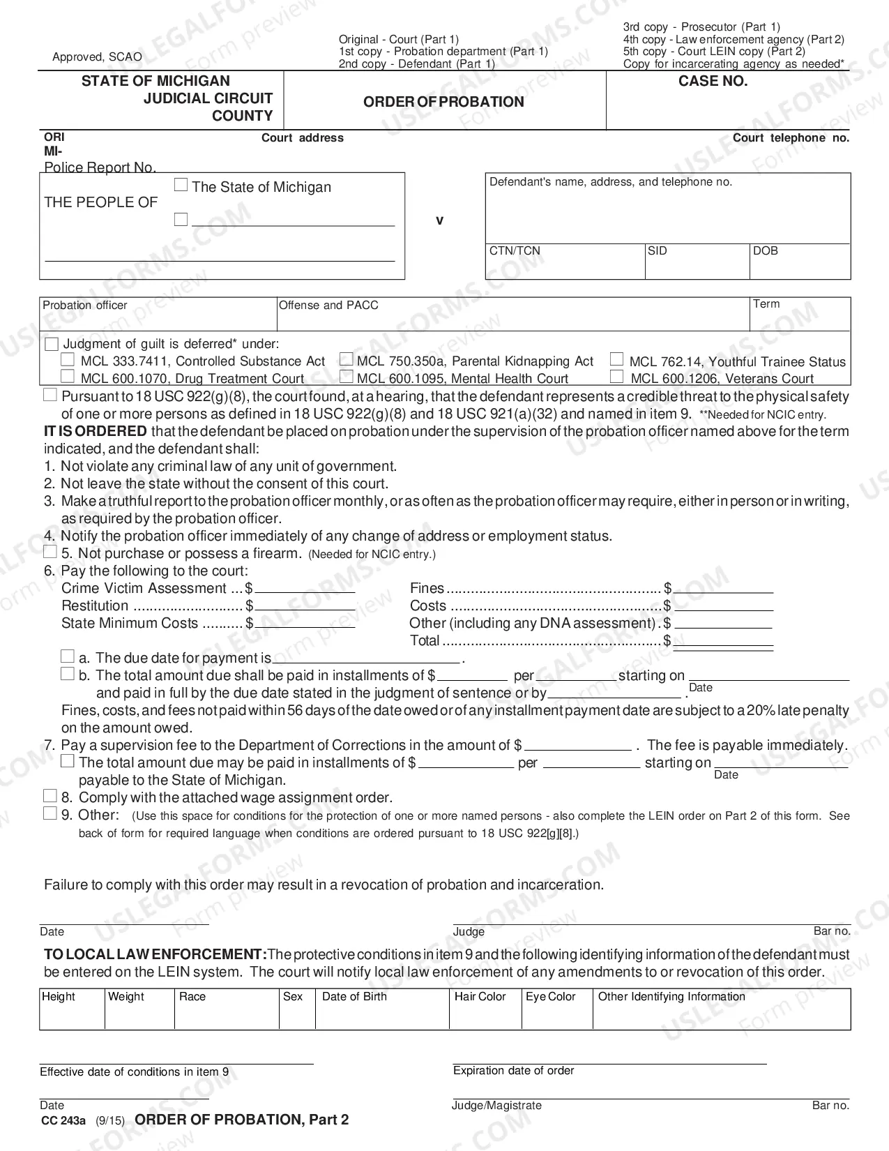 Preview Order of Probation - Felony