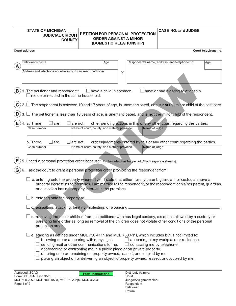 page 0 Petition for Personal Protection Order Against a Minor - Domestic Relationship preview