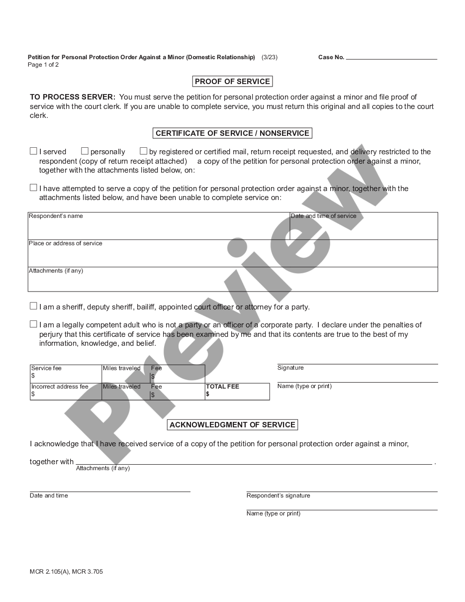 page 2 Petition for Personal Protection Order Against a Minor - Domestic Relationship preview