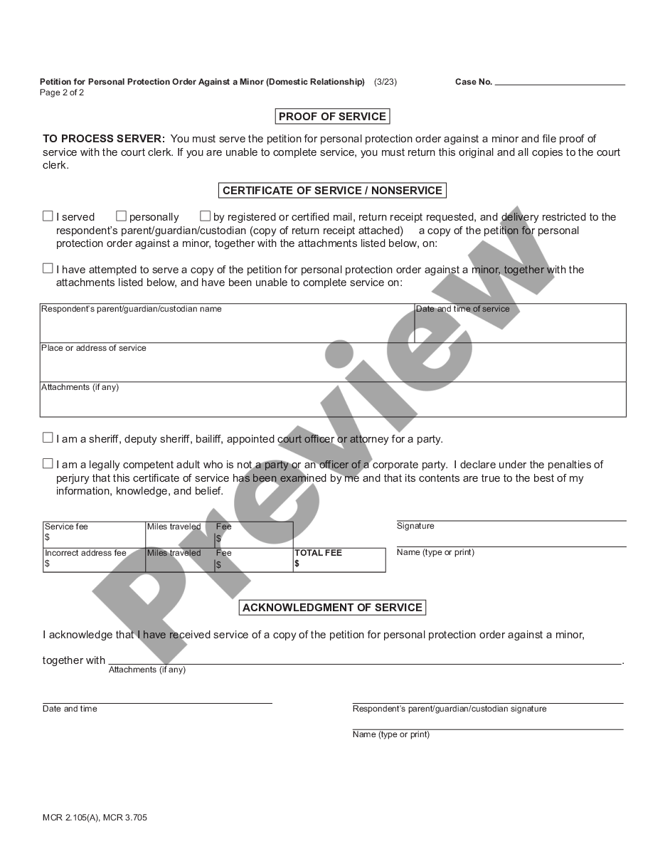 page 3 Petition for Personal Protection Order Against a Minor - Domestic Relationship preview