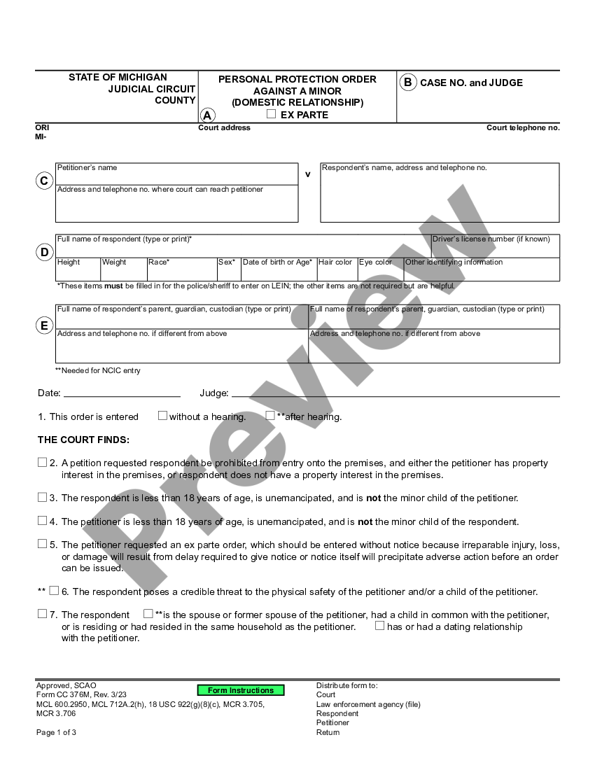 page 0 Personal Protection Order Against a Minor - Domestic Relationship preview
