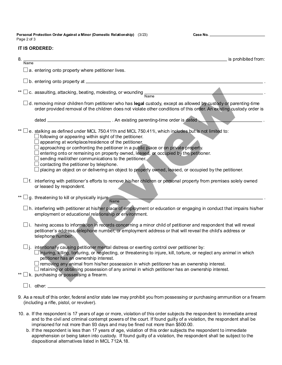 page 1 Personal Protection Order Against a Minor - Domestic Relationship preview
