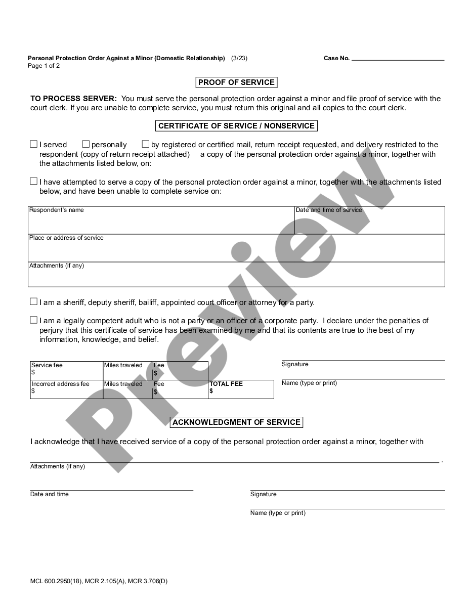 page 3 Personal Protection Order Against a Minor - Domestic Relationship preview