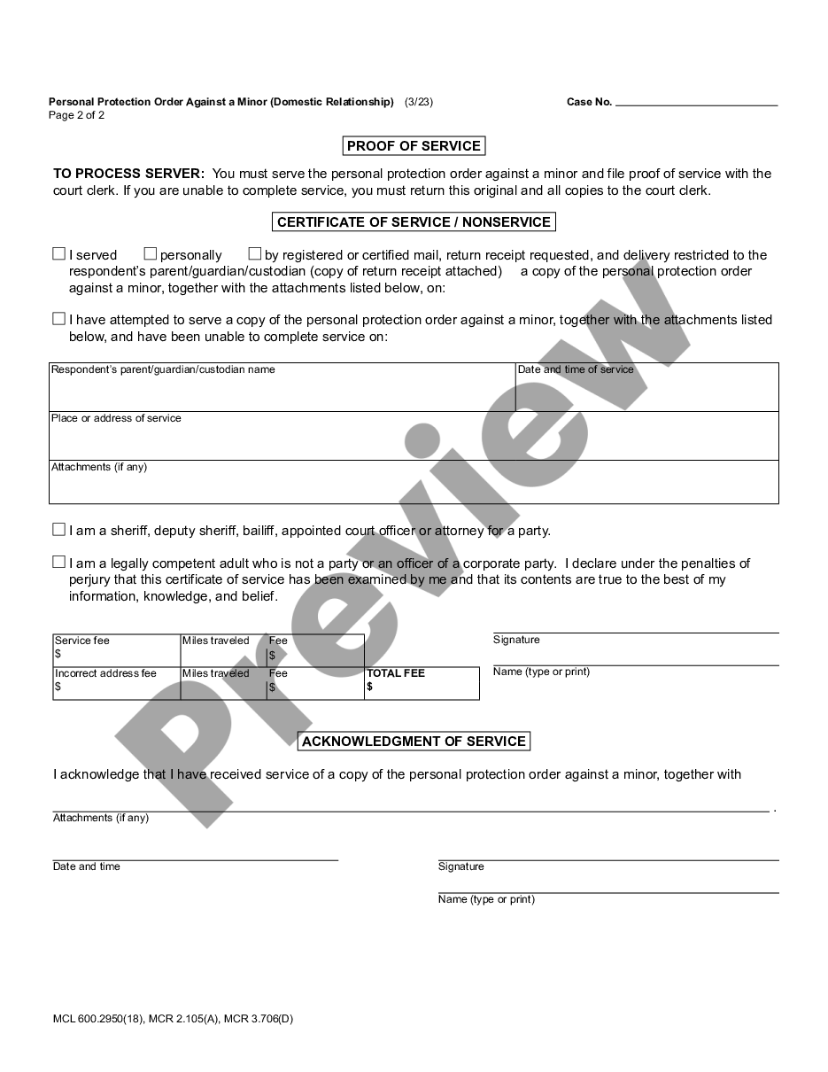 page 4 Personal Protection Order Against a Minor - Domestic Relationship preview