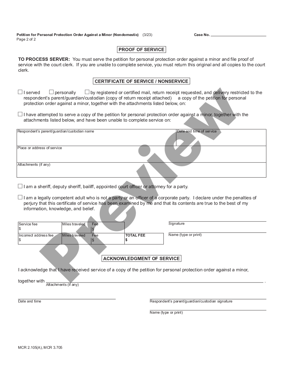 page 3 Petition for Personal Protection Order Against a Minor - Non Domestic preview