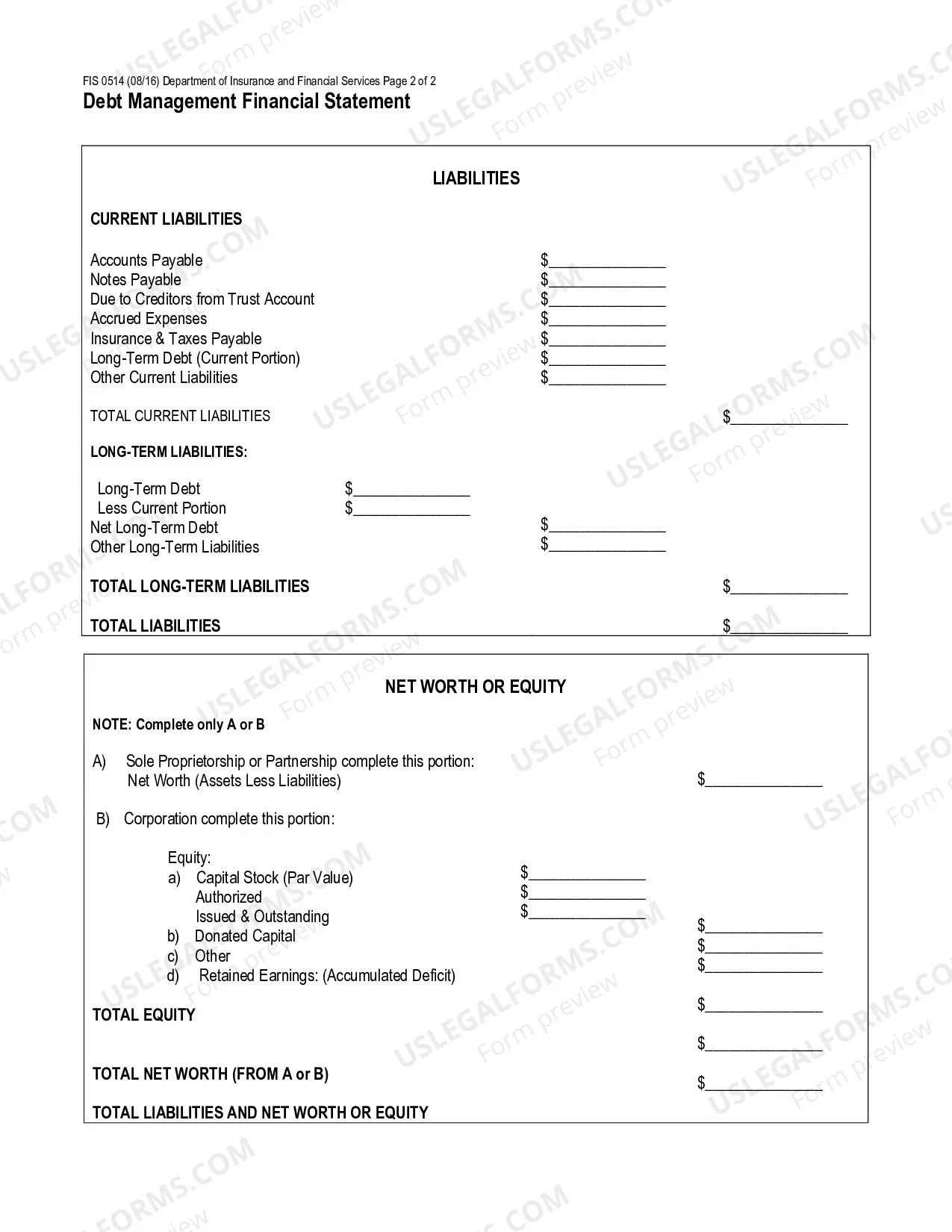 Preview Debt Management Financial Statement