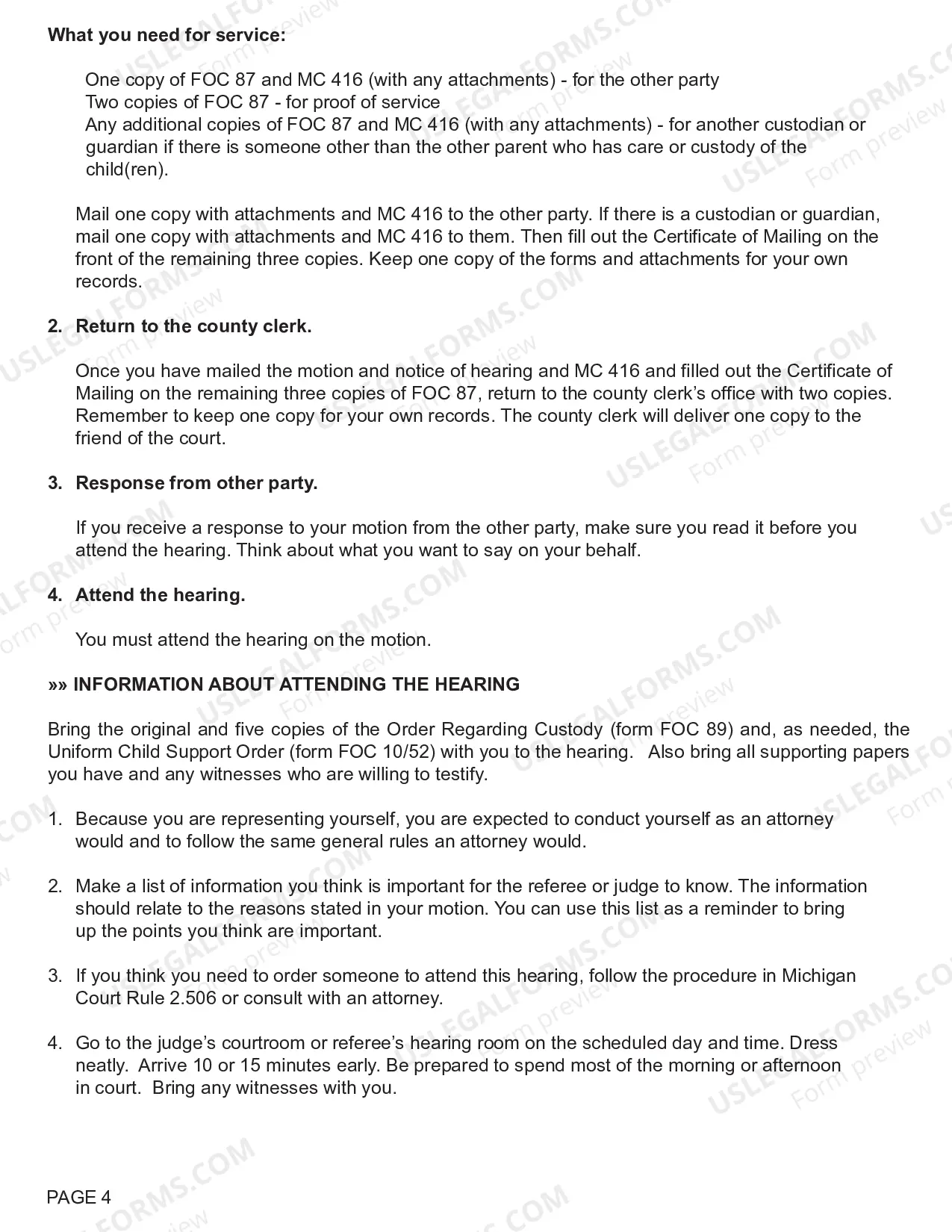 Preview Motion Regarding Custody