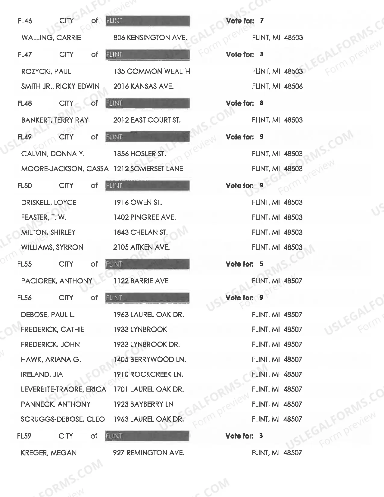 Preview Democratic Delegate Candidates