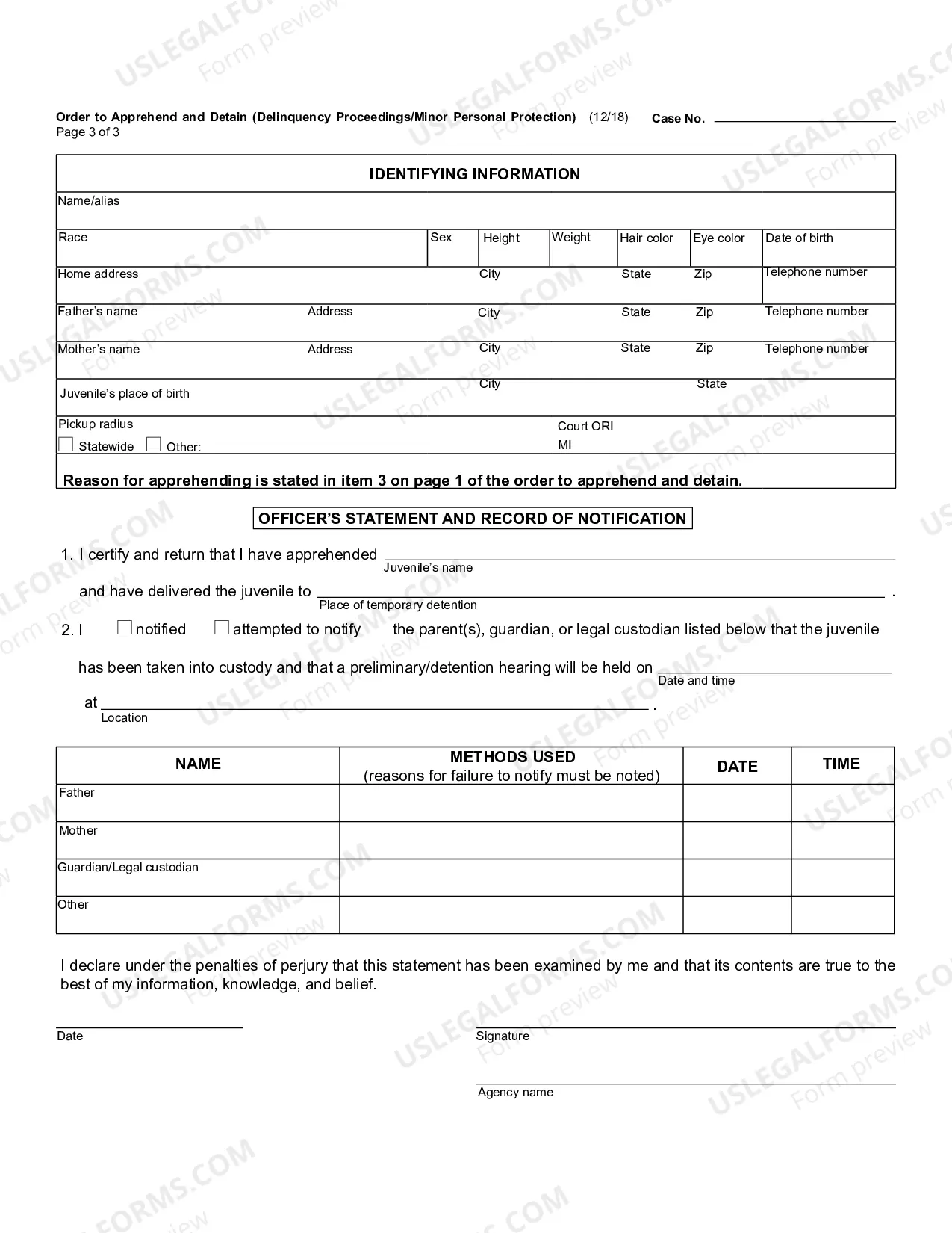 Preview Order To Apprehend And Detain (Delinquency Proceedings Or Minor Personal Protection)