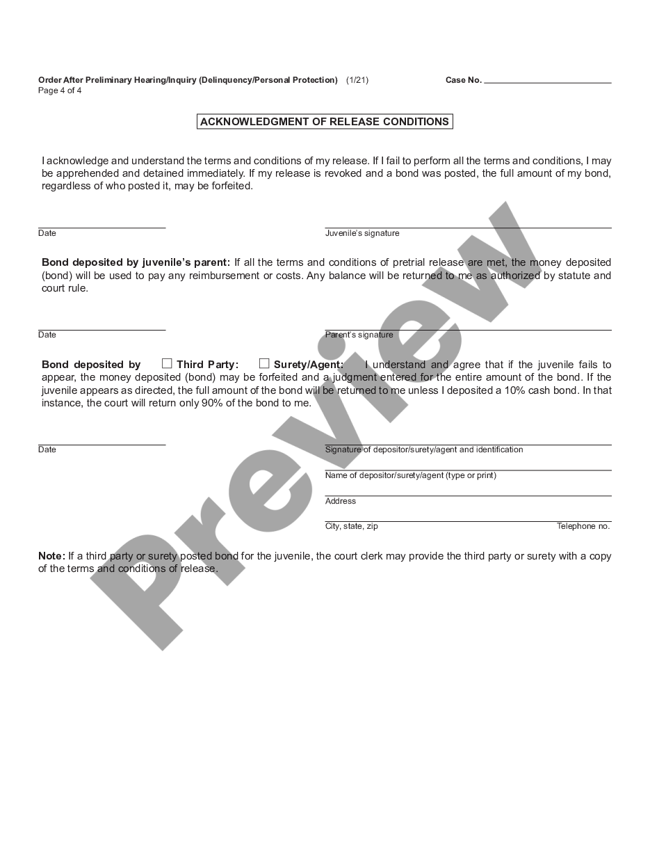 page 3 Order After Preliminary Hearing - Inquiry - Delinquency Proceedings preview