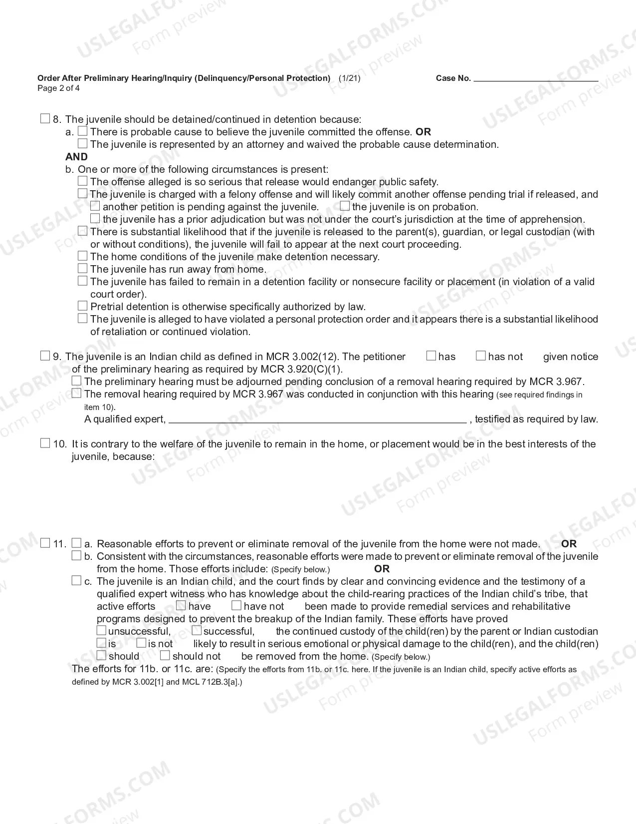 Preview Order After Preliminary Hearing Or Inquiry (Delinquency Or Personal Protection)