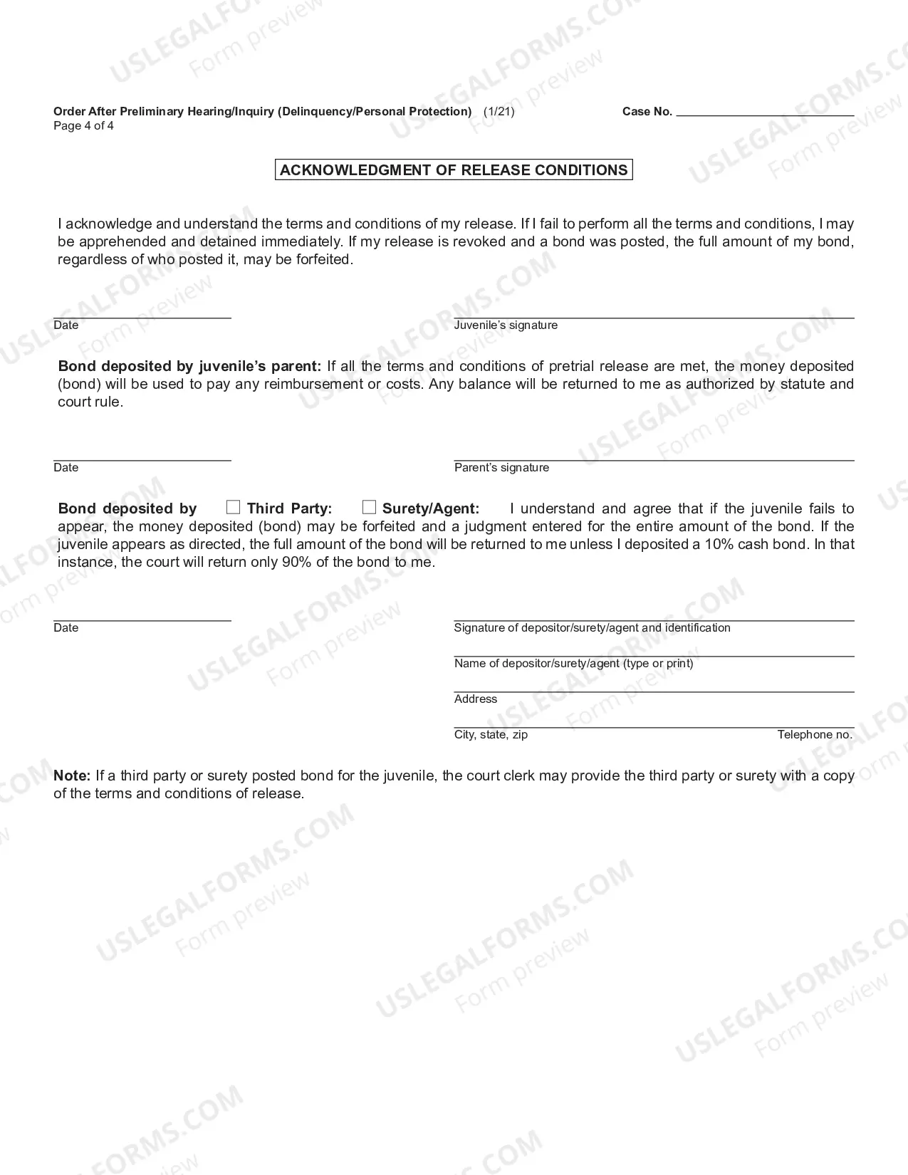 Preview Order After Preliminary Hearing Or Inquiry (Delinquency Or Personal Protection)