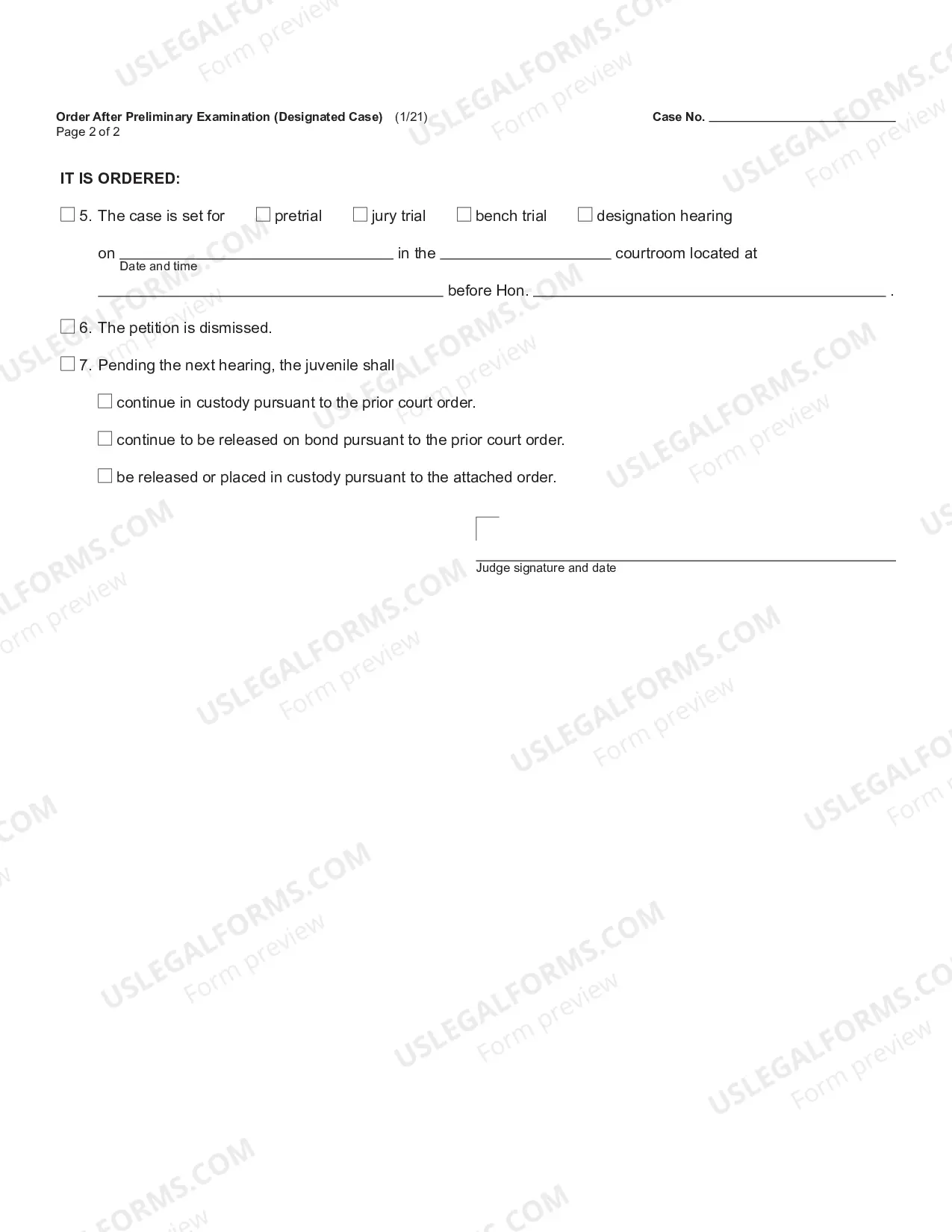 Preview Order After Preliminary Examination - Designated Case
