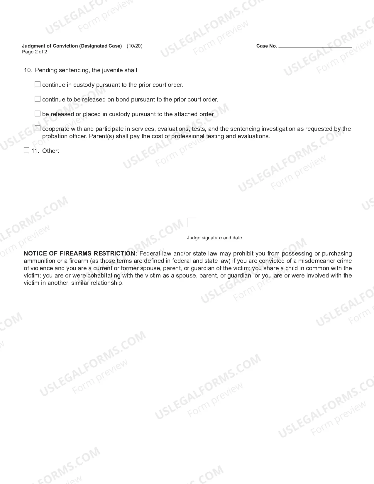 Preview Judgment of Conviction - Designated Case