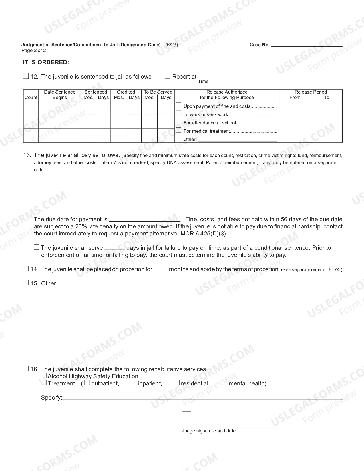 Preview Judgment of Sentence Commitment To Jail (Designated Case)