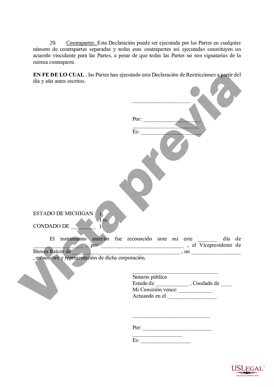 Preview Declaración de Restricciones