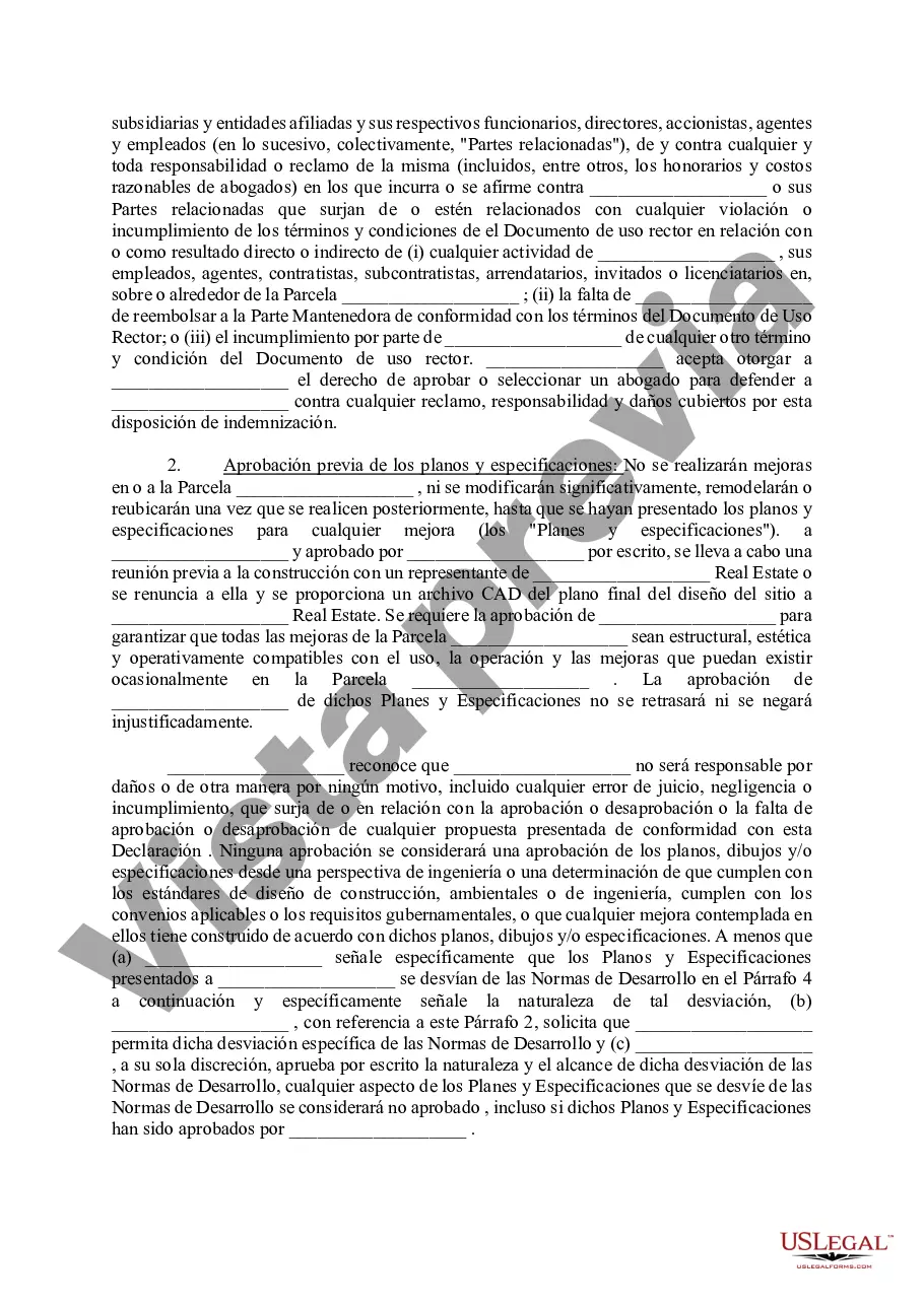 Preview Declaración de Restricciones