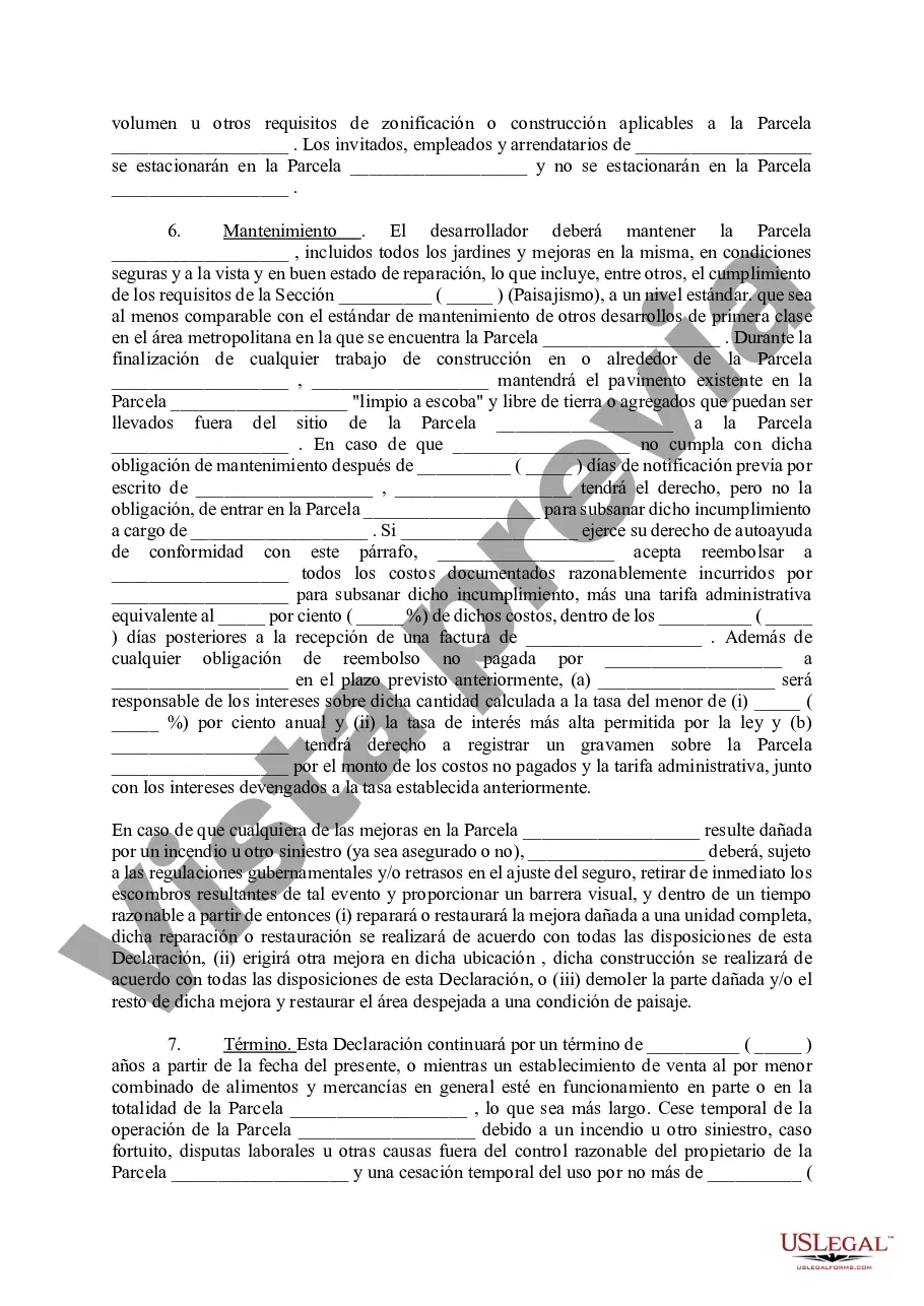 Preview Declaración de Restricciones