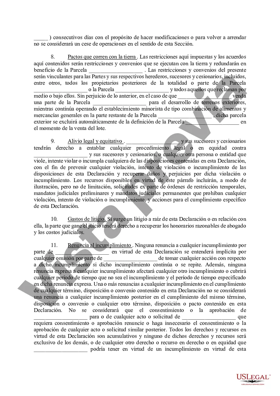 Preview Declaración de Restricciones