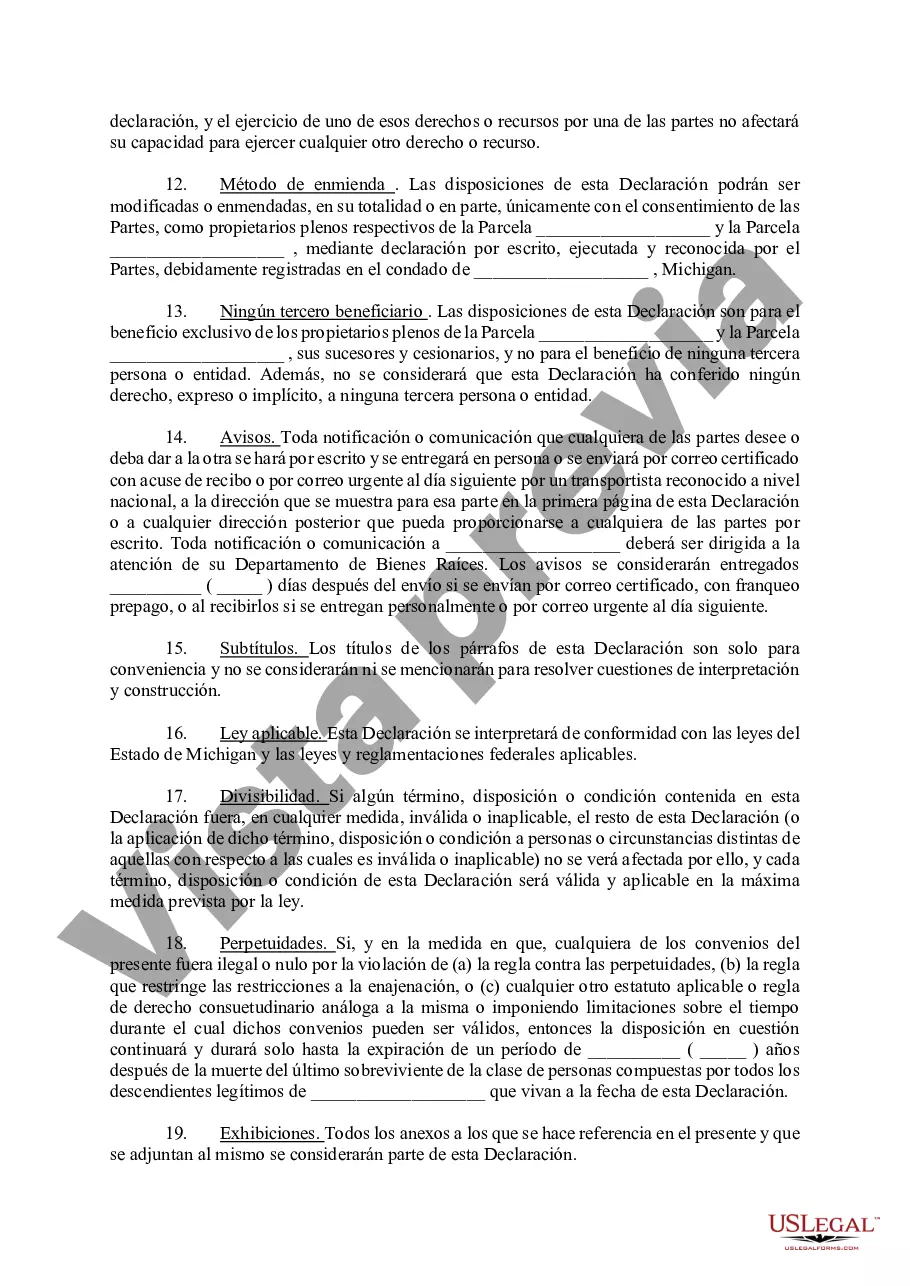 Preview Declaración de Restricciones