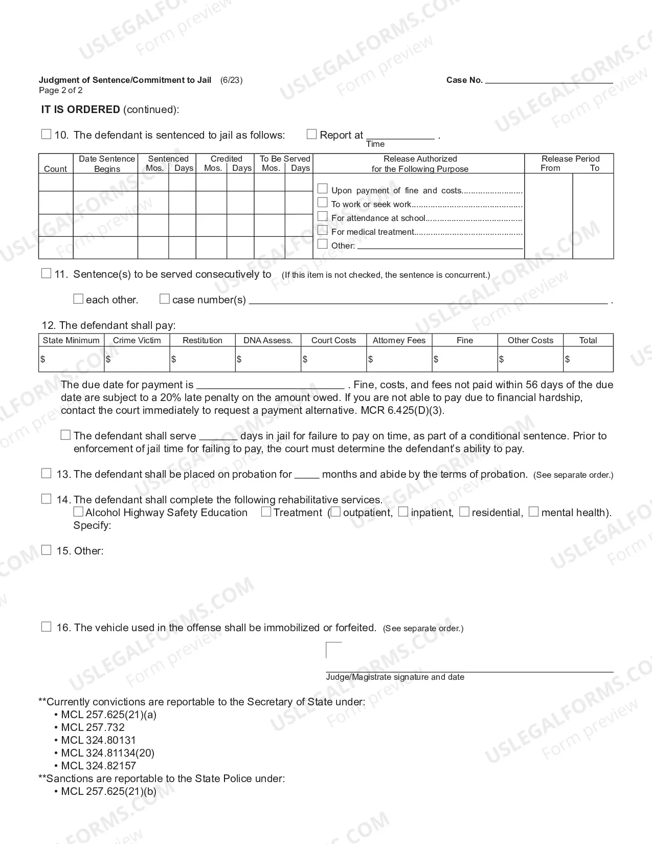 Preview Judgment of Sentence/Commitment to Jail