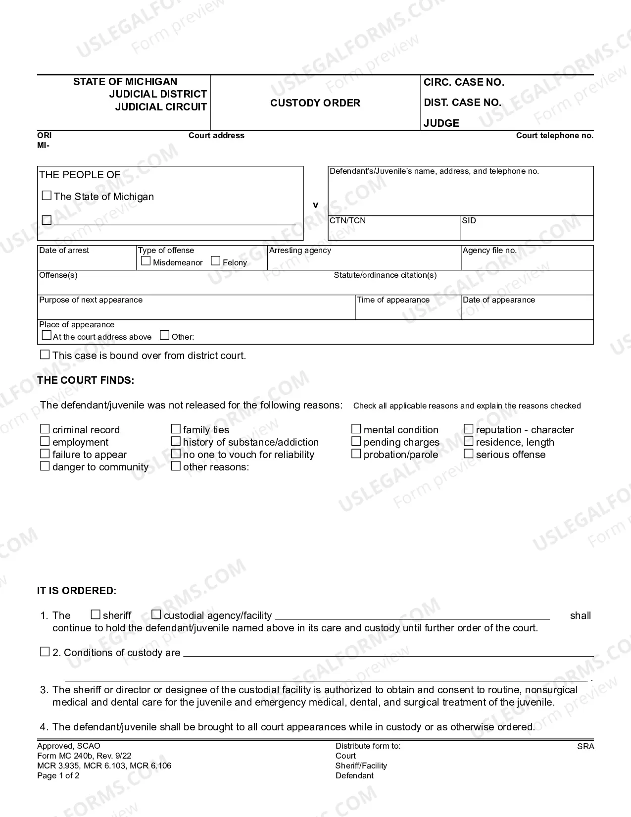 Preview Custody Order