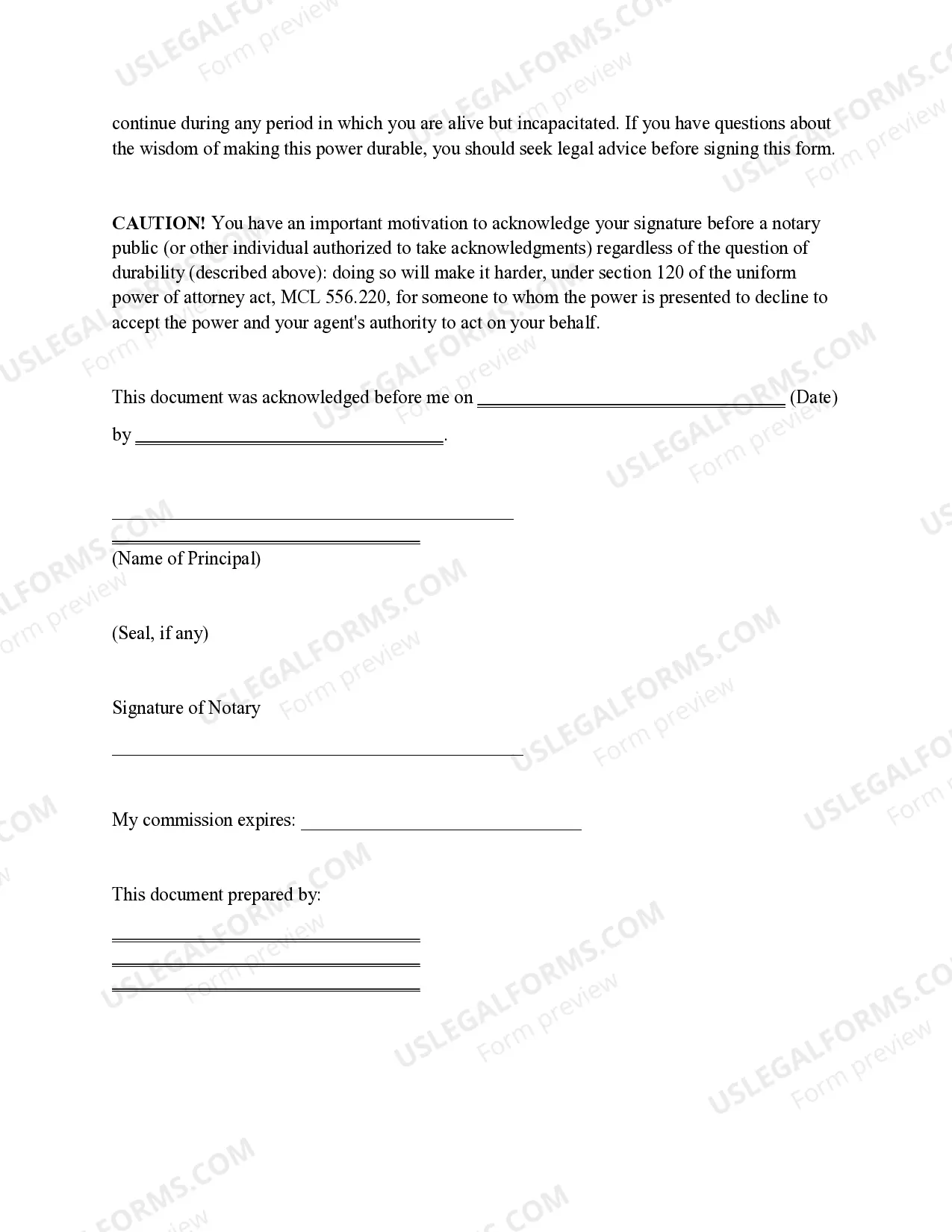 Preview Statutory Power of Attorney