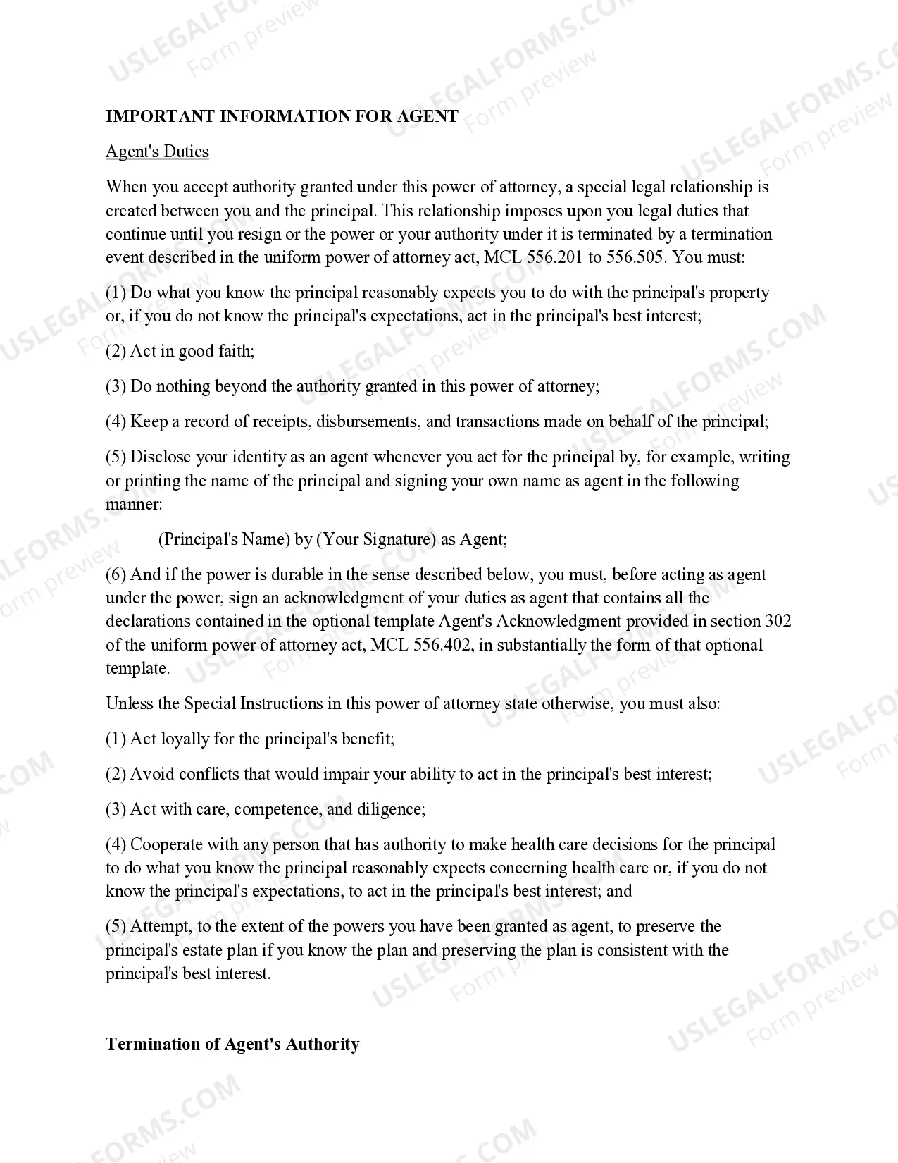 Preview Statutory Power of Attorney