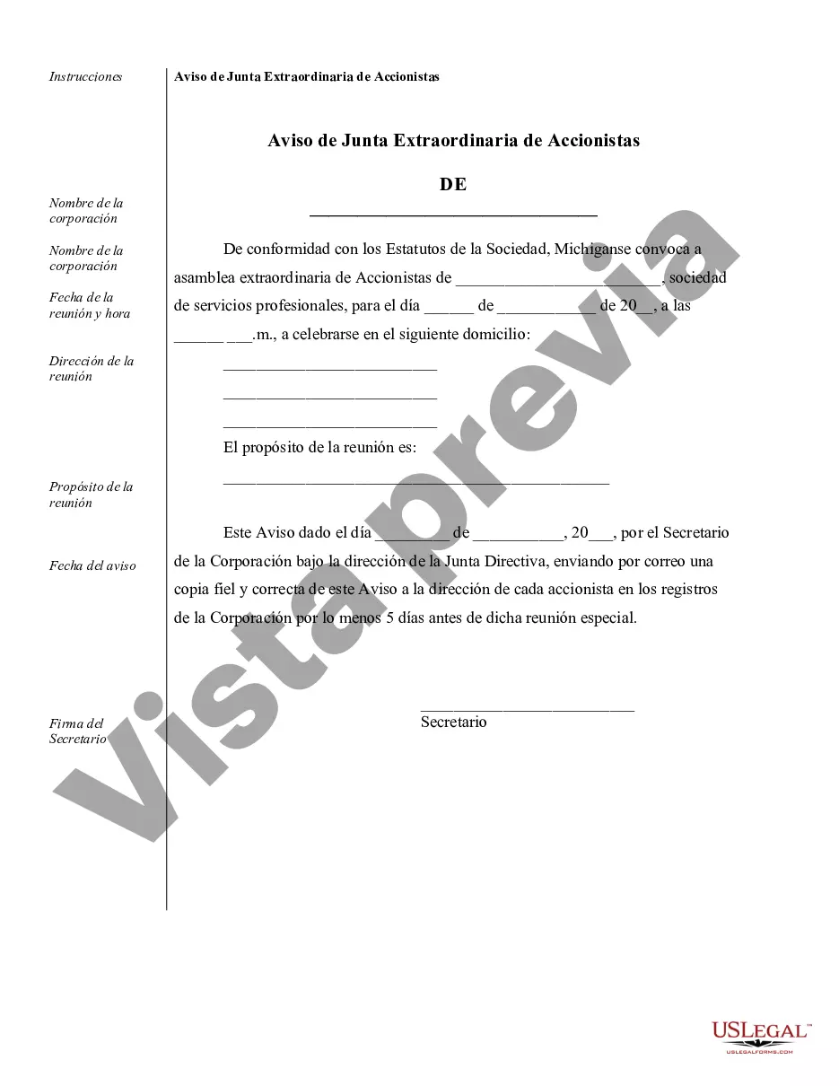 Preview Muestra de registros corporativos para una corporación profesional de Michigan