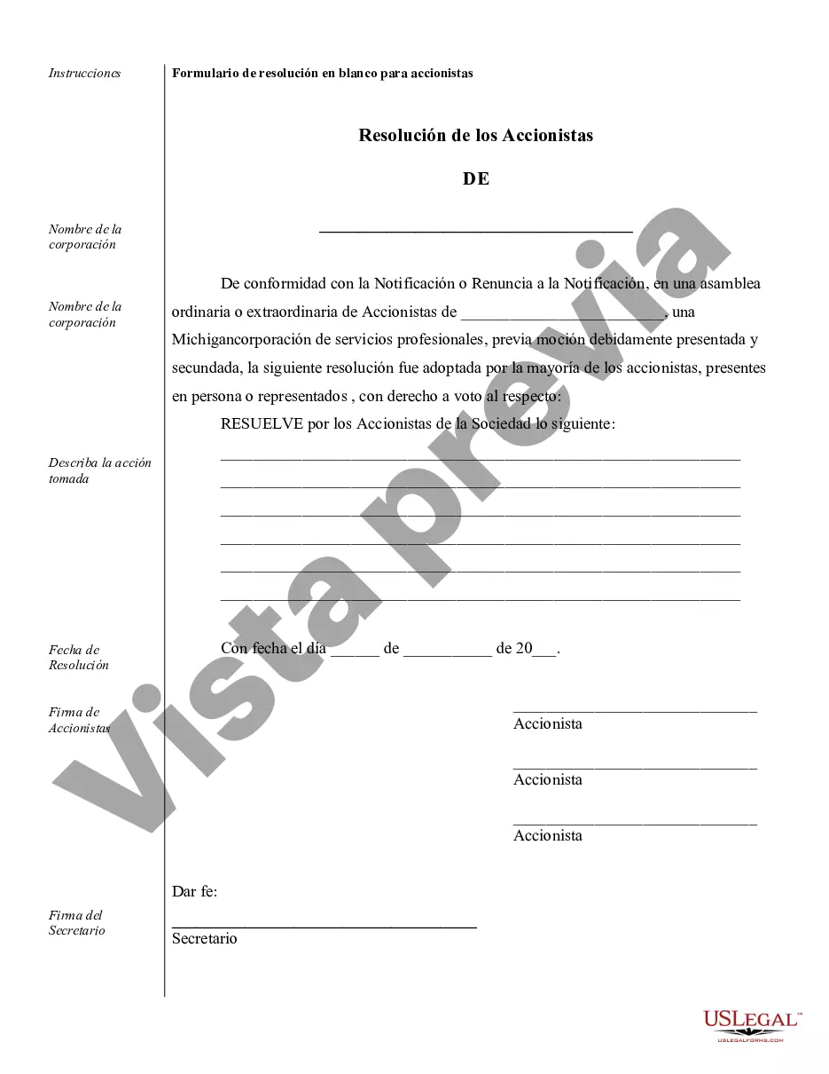 Preview Muestra de registros corporativos para una corporación profesional de Michigan