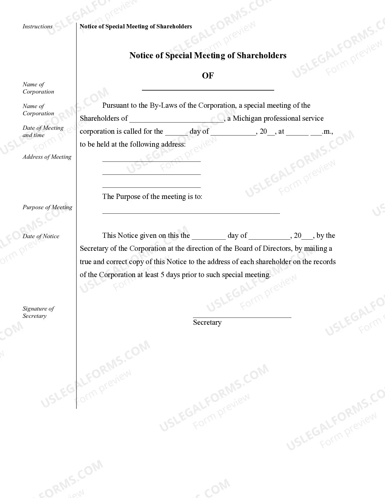 Preview Sample Corporate Records for a Michigan Professional Corporation