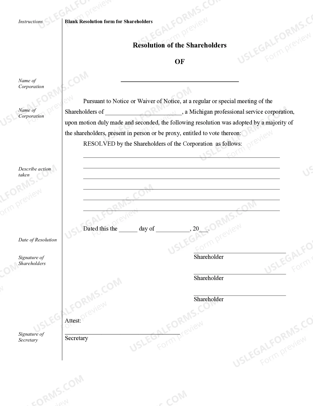 Preview Sample Corporate Records for a Michigan Professional Corporation