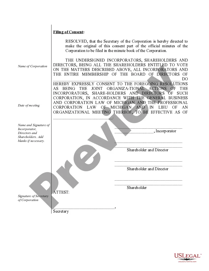 Preview Organizational Minutes for a Michigan Professional Corporation